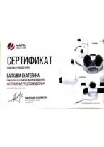 galkina 8