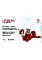 galkina 9